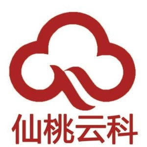 仙桃云科網(wǎng)絡(luò)科技 引領(lǐng)數(shù)字化未來的先鋒